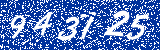 Capcha image