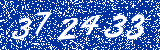 Capcha image